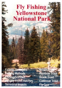 Fly Fishing Yellowstone DVD